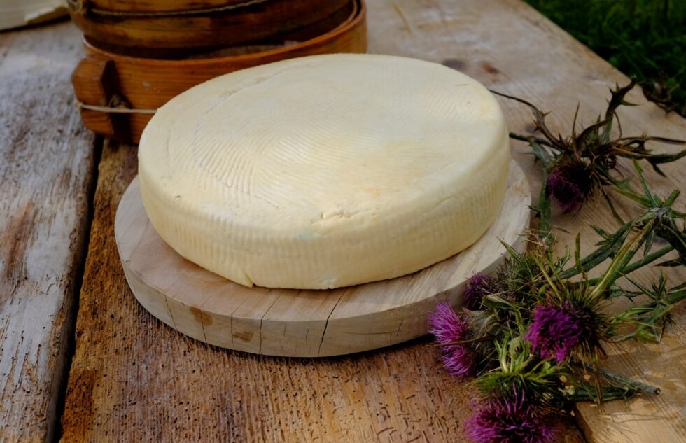 Il formaggio Morlacco della Casearia Toniolo Cacio e Pepe Magazine